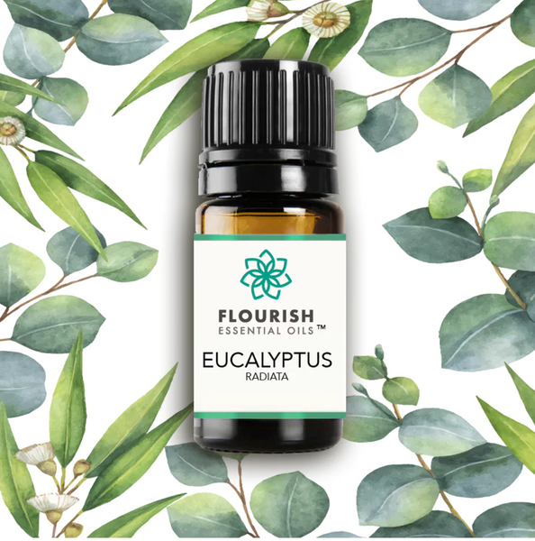 Spring into Action with Eucalyptus: The Optimistic, Open, and Freeing Essential Oil