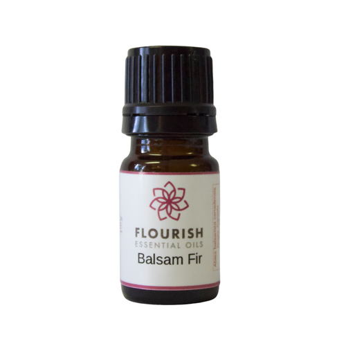 Fir, Balsam