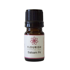 Fir, Balsam