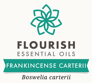 Frankincense Carterii (Boswella Carteri)